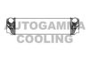 AUTOGAMMA 105331 Intercooler, charger